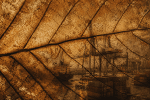 A detailed close up of a tobacco leaf texture overlaying an industrial shipping port background